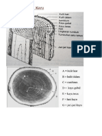 Materi 1 Struktur Kayu