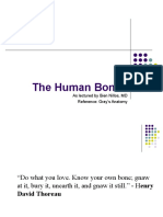 The Human Bones: As Lectured by Bien Nillos, MD Reference: Gray's Anatomy