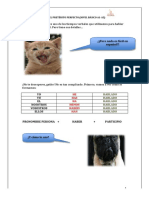 Gramatica El Preterito Perfecto Nivel Basico A1 A2 PDF