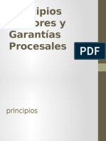 Principios Rectores y Garantias Procesales