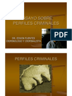 Perfiles Criminales