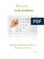 Guia de Auditoria - Evaluacion de Procesos Clave