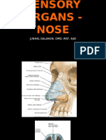 Sensory Organs - Nose