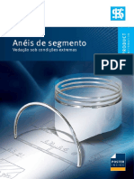 Anéis de Segmento - Vedação Sob Condições Extremas PDF