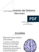 Envejecimiento Del Sistema Nervioso