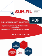 (PDF) Procedimiento Inspectivo Laboral