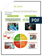 Trabajo de Parto Informe