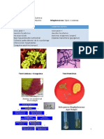 Microbiologia Oral