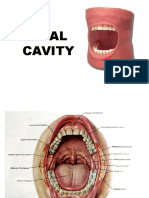 Mouth Tongue and Salivary Glands