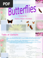 Butterfly PPT 2