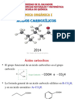 Acidos Carboxilicos 