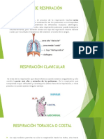 Tipos de Respiración