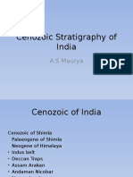 Cenozoic Stratigraphy of India