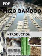 Mizo Bamboo