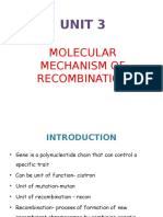 Unit 3 Recombination