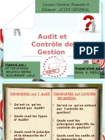 Audit Et Controle de Gestion