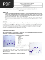 ORGANICA Informe 7