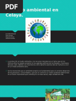 Cuidado Ambiental en Celaya 1