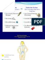 Module 10 - Nervous & Endocrine Systems