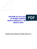 Informe Bomba Sumergible Proanco