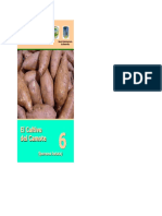 Camote PDF