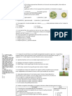 Ficha Biologia 10º - Distribuição Da Matéria Correção