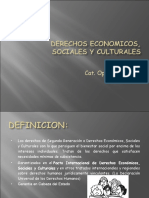 Derechos Economicos Sociales y Culturales