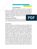 Derecho Constitucional Profundizado