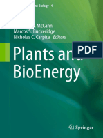 Plants and Bioenergy