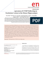 Astrocytic Expression of CTMP Following An Excitotoxic Lesion in The Mouse Hippocampus