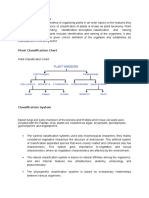 Plant Classification