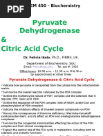 PDH Complex and TCA Cycle