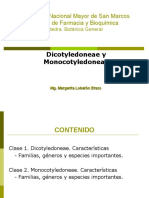 DICOTILEDONEAS