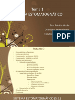 teoricoSISTEMA ESTOMATOGNATICO