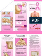 Triptico Cancer de Mama