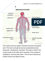 The Nervous System PDF