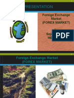 Foreign Exchange Market P P T