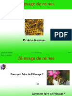 Elevage de Reines PDF