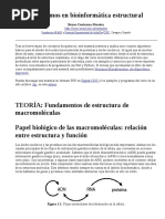 Algoritmos en Bioinformática Estructural