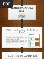 Registro Gamma Ray