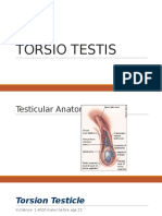 Torsio Testis