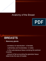 Anatomy of The Breast