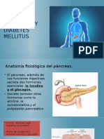 Cap. 78. Insulina Glucagon y DM