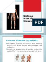 Sistema Musculo Esqueletico