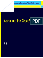 Aorta Anatomy