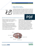 Anatomia de La Depresion