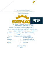 TAREA UNIDAD 01 Elección de La Organización, Descripción, Generación de Matriz IPER, Mapa de Riesgos