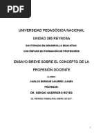 Ensayo Breve Sobre El Concepto de La Profesión Docente