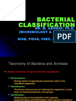 Bacterial Classification