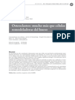 Osteoclastos PDF